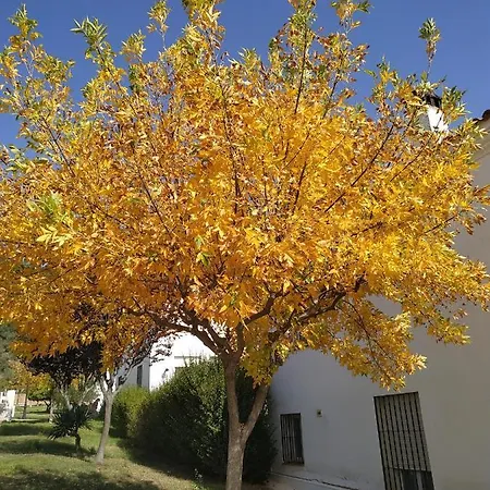 La Casa De Elias Сasa de vacaciones Aracena