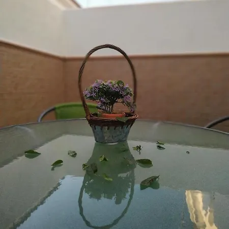 La Casa De Elias